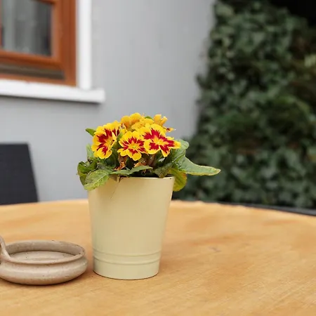 Heike Schreiber Appartement