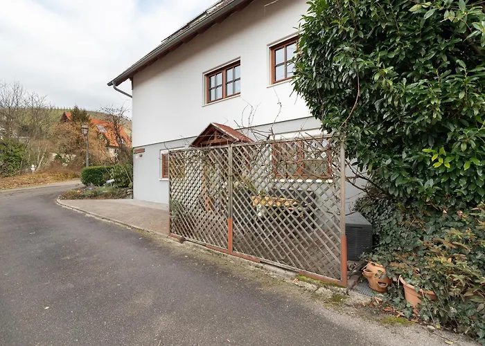 Heike Schreiber 萨巴赫瓦登